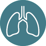 ademhaling advies zuidhorn